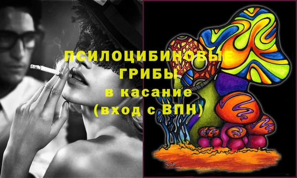 дурь Богданович