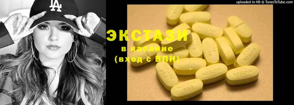 индика Пестово