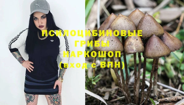 дурь Богданович