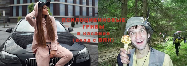 метадон Богородицк