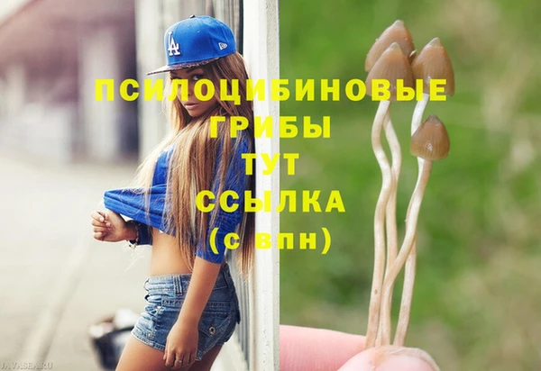 бошки Богородск